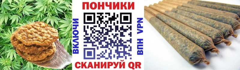 Купить закладки  Шахунья  Cannafood конопля 