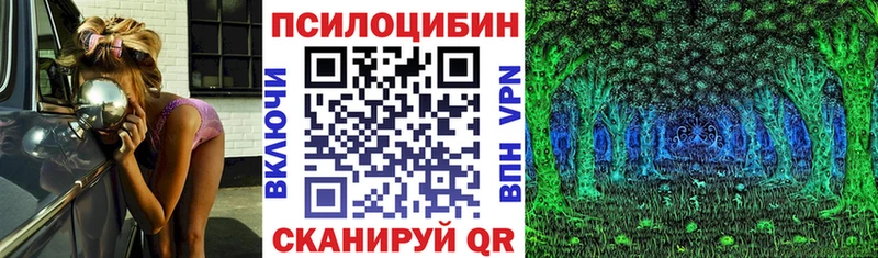 Псилоцибиновые грибы Cubensis  Купить  Шахунья 